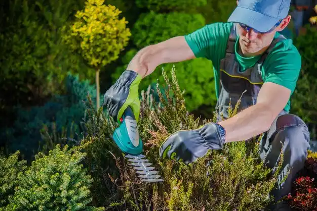 landscaping services Hannawa Falls